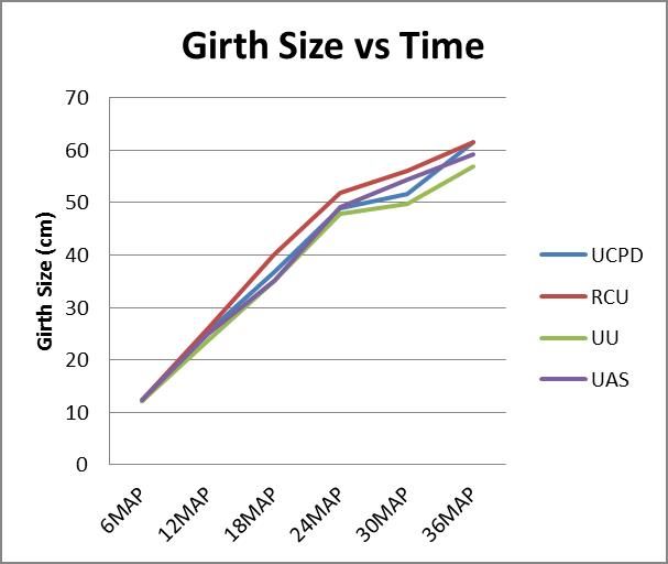 Young Immature Palms Girth Size vs Time