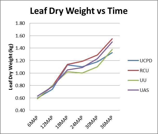 Oil Palm Leaf Dry Weight vs Time