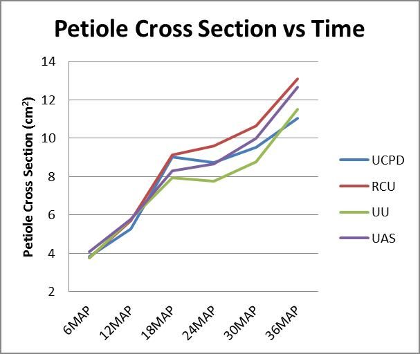 Oil Palm Cross Section vs Time