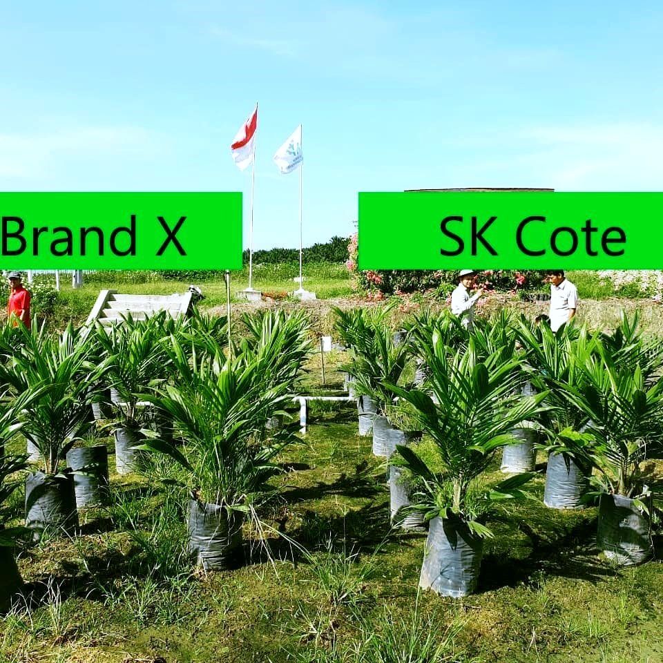 Compare Controlled Vs Slow Release Fertilizer SK Specialties Sdn Bhd