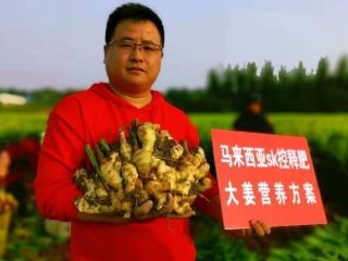 Customer-Testimonial-Ginger-Farmer