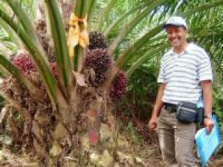 Customer-Testimonial-Palm Oil-Farmer
